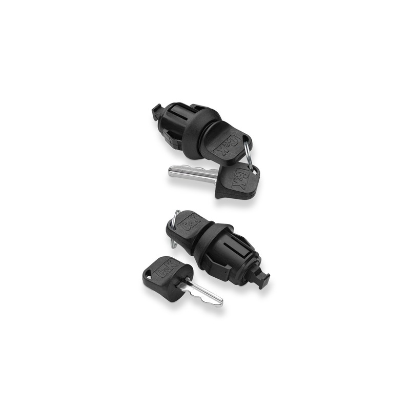 Littelfuse C&K P Switchlock 系列 4弹子卡扣钥匙开关